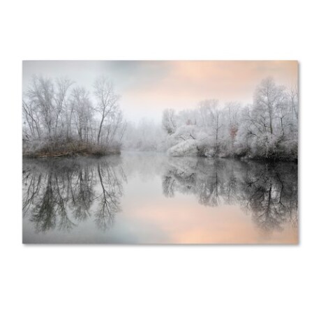 Trademark Fine Art Philippe Sainte-Laudy 'White Silence' Canvas Art, 16x24 PSL1077-C1624GG
